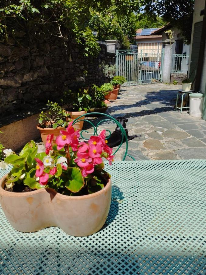 B&B Il Poggiolo ストレーザ エクステリア 写真
